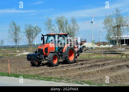 Podersdorf, Autriche - 04 mai 2021: Des helpers inconnus sur un tracteur plantant mécaniquement des vignes Banque D'Images