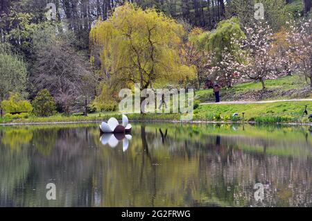 Couple marchant à côté de la sculpture de Lily flottante reflétée dans le lac Magnolia, Himalayan Garden & Sculpture Park, Grewelthorpe, Ripon, North Yorkshire, Royaume-Uni. Banque D'Images