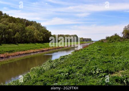 Le canal Einser, à la frontière austro-hongroise, régit les marais Hansag et le lac Neusiedl Banque D'Images