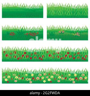 Ensemble de fleurs de jardin dans l'herbe. Les fleurs, les feuilles vertes, les compositions d'herbe, peuvent être utilisées comme éléments pour les scènes et les arrière-plans de paysage de création. Vect Illustration de Vecteur