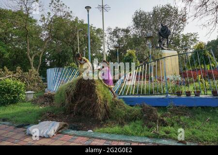 Kolkata, Bengale occidental, Inde - 21 mai 2020 : deux filles jouent sur un arbre, déraciné par le super cyclone Amphan, devant la statue du Mahatma Banque D'Images