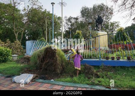 Kolkata, Bengale occidental, Inde - 21 mai 2020 : deux filles jouent sur un arbre, déraciné par le super cyclone Amphan, devant la statue du Mahatma Banque D'Images