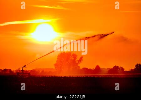 Irrigation des champs avec une arroseur circulaire Banque D'Images