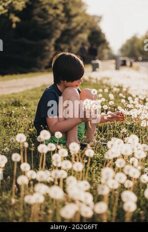 Jeune garçon cueillant des fleurs de pissenlit lors d'une journée ensoleillée d'été. Banque D'Images