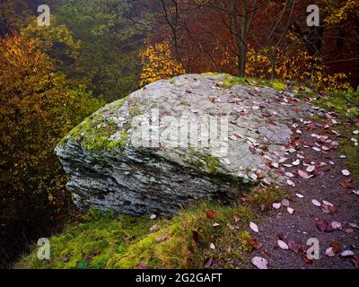 Europe, Allemagne, Hesse, arrière-pays, réserve naturelle de Lahn-Dill-Bergland, Gladenbach, nez de roche dans la réserve naturelle 'Hinterländer Schweiz', Gladenbacher Bergland, feuilles d'automne Banque D'Images