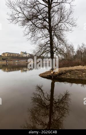 Europe, Pologne, Voivodeship Masovian, Bug River - Buzyska Banque D'Images