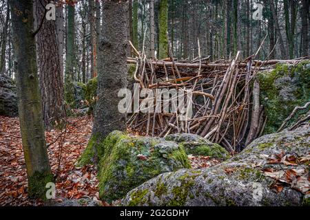 Druid grove en Suisse franconienne, Bavière Banque D'Images