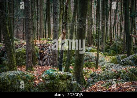 Druid grove en Suisse franconienne, Bavière Banque D'Images