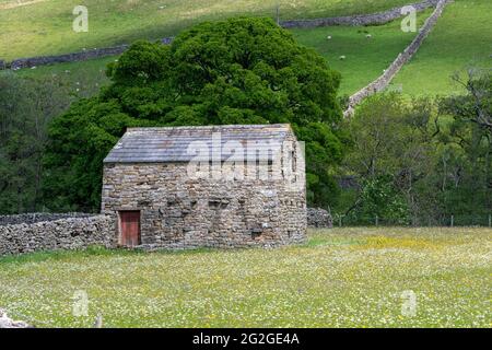 Prairies de fleurs sauvages hautes avec grange traditionnelle en pierre à Muker, Swaledale, parc national de Yorkshire Dales, Royaume-Uni. Banque D'Images