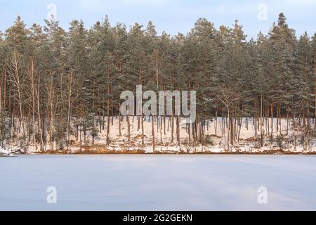 Lac gelé en moyenne-Franconie, Bavière Banque D'Images