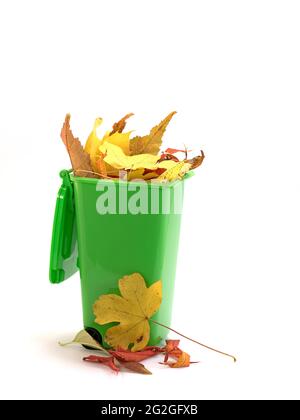 Poubelle remplie de feuilles sur fond blanc Banque D'Images