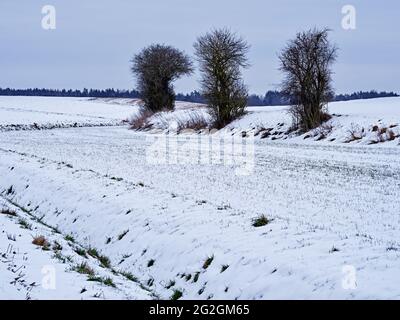 Jour d'hiver dans le Schmuttertal, Banque D'Images