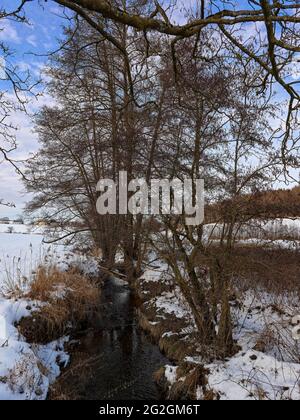 Journée d'hiver au Schmutter, parc naturel des forêts de l'Ouest d'Augsbourg, Banque D'Images