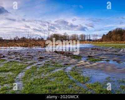 Inondations hivernales au Schmutter, Banque D'Images