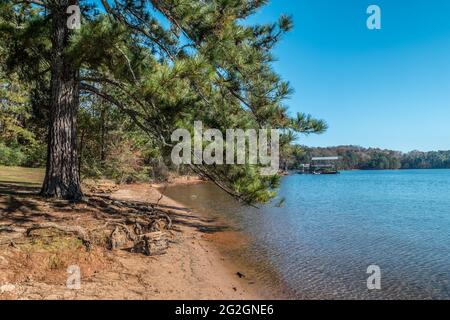 Le long de la rive du lac, un grand pin à la plage avec quelques quais flottants pleins de différents types de bateaux amarrés sur un d lumineux ensoleillé Banque D'Images
