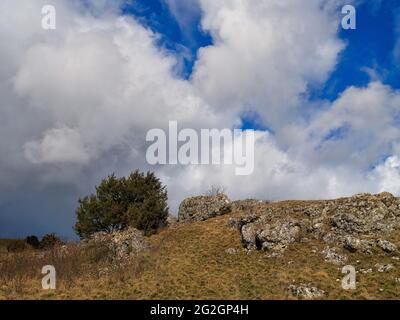 Sur le Rolleberg dans les Ries de Nördlinger, Banque D'Images