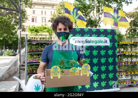 Rome, Italie. 11 juin 2021. (6/11/2021) Mattia Santori, chef du mouvement "Sardine" 6000 le mouvement Sardine et l'association "Meglio Legale" ont organisé une manifestation sur la Piazza Vittorio Emanuele à Rome, dans laquelle ils ont amené six mille plants de cannabis légaux pour discuter de la question de la légalisation et l'porter à l'attention du Parlement et des citoyens. Le chef du mouvement "de la ligne", Mattia Santori et Riccardo Magi, membre du Parlement du parti "Europa/Radicali", ont également participé. (Photo de Matteo Nardone/Pacific Press/Sipa USA) crédit: SIPA USA/Alay Live News Banque D'Images