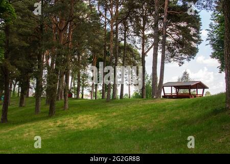 Belvédère et grands arbres dans le parc de près Banque D'Images