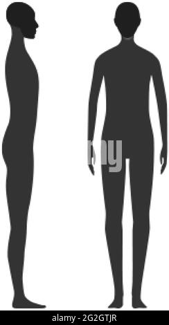 Vue latérale et avant d'une personne de sexe neutre avec un crâne et un menton en surbrillance Illustration de Vecteur