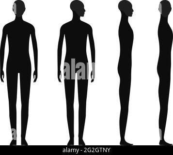 Silhouette du corps humain d'une personne neutre du sexe avec un crâne et un menton en surbrillance Illustration de Vecteur