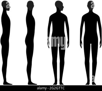 Silhouette du corps humain d'une personne neutre du sexe avec un crâne et un menton en surbrillance Illustration de Vecteur