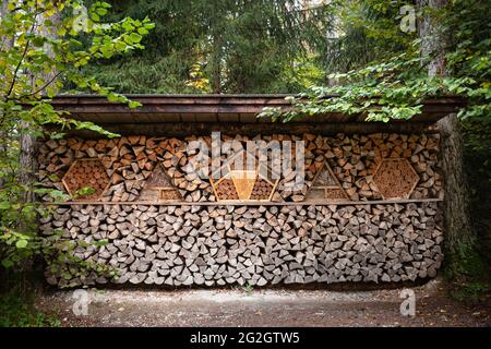 Grand et beau hôtel d'insectes en bois créé pour fournir un abri pour les insectes comme les abeilles pour empêcher l'extinction. Banque D'Images