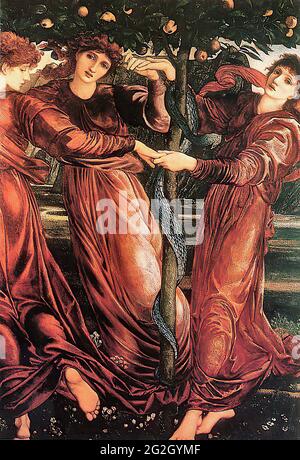 Edward Burne-Jones (1833-1898) - jardin Hesperides Banque D'Images