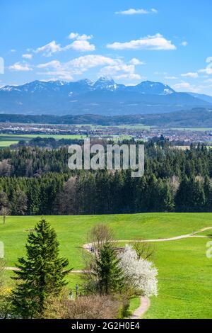 Allemagne, Bavière, haute-Bavière, quartier de Rosenheim, Feldkirchen-Westerham, quartier de Kleinhöhenrain, vue de 'Zur Schönen Aussicht' sur la plaine de Mangfal jusqu'au massif de Wendelstein Banque D'Images