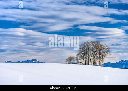 Allemagne, Bavière, haute-Bavière, Tölzer Land, Dietramszell, Quartier Baiernrain, paysage d'hiver contre le massif de Wendelstein Banque D'Images