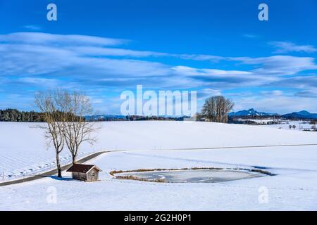 Allemagne, Bavière, haute-Bavière, Tölzer Land, Dietramszell, Quartier Baiernrain, paysage d'hiver contre chaîne alpine Banque D'Images