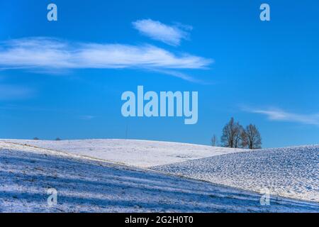 Allemagne, Bavière, haute-Bavière, Tölzer Land, Dietramszell, Quartier de Ried, paysage d'hiver Banque D'Images