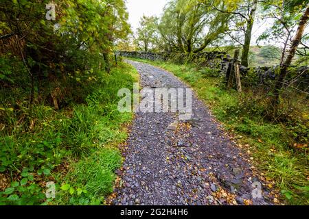 Chemin de copeaux d'ardoise à travers les arbres avec mur, pays de Galles, Banque D'Images