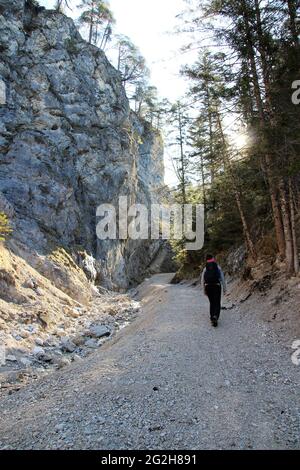 Jeune femme sur la montée dans le Hüttlebachklamm près de Krün, Karwendel montagnes, Werdenfelser Land, haute-Bavière, Bavière, Allemagne, Isar Valley, Alpenwelt Karwendel, soleil, rétroéclairage, prise de vue en contre-jour Banque D'Images