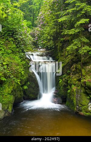 Geroldsauer Wasserfall, près de Baden-Baden, Allemagne, Bade-Wurtemberg, Forêt Noire du Nord Banque D'Images