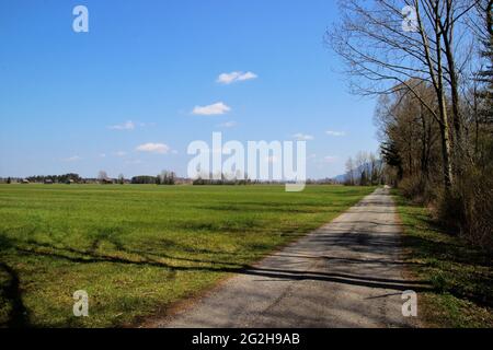 Sentier cyclable, bois dans le Loisach-Kochelsee-Moor, un paysage de moor bas de 3600 hectares composé de bogs bas et élevés sur le Loisach en haute-Bavière, conservation de la nature. La majeure partie de la région est désignée à la fois comme un refuge de FFH et d'oiseaux. Allemagne, Bavière, haute-Bavière, zone entre Kochel et Benediktbeuern, Großweil, piste cyclable, Banque D'Images