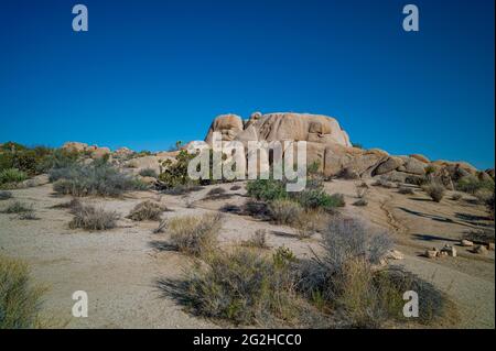 Joshua Tree National Park, comté de San Bernadino, Californie du Sud, États-Unis Banque D'Images