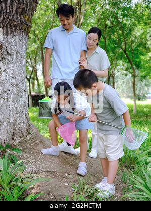 Une famille heureuse de quatre insectes attrapant en plein air photo de haute qualité Banque D'Images