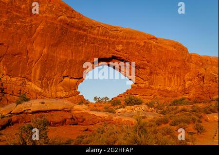 Arche de la fenêtre nord. Arche sur le côté nord des fenêtres, une nageoire en grès avec 2 immenses ouvertures en forme d'œil dans le parc national d'Arches, près de Moab dans l'Utah, aux États-Unis. Banque D'Images