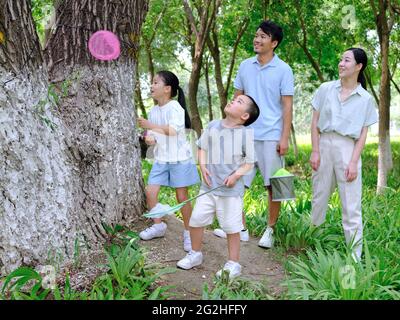 Une famille heureuse de quatre insectes attrapant en plein air photo de haute qualité Banque D'Images