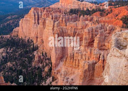 Rainbow point - un pic du parc national avec des falaises rouges et roses et des formations rocheuses, forêt d'épicéa et de sapin et sentiers de randonnée. Parc national de Bryce Canyon, Utah, États-Unis Banque D'Images