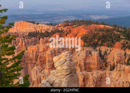 Rainbow point - un pic du parc national avec des falaises rouges et roses et des formations rocheuses, forêt d'épicéa et de sapin et sentiers de randonnée. Parc national de Bryce Canyon, Utah, États-Unis Banque D'Images