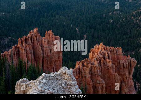 Rainbow point - un pic du parc national avec des falaises rouges et roses et des formations rocheuses, forêt d'épicéa et de sapin et sentiers de randonnée. Parc national de Bryce Canyon, Utah, États-Unis Banque D'Images