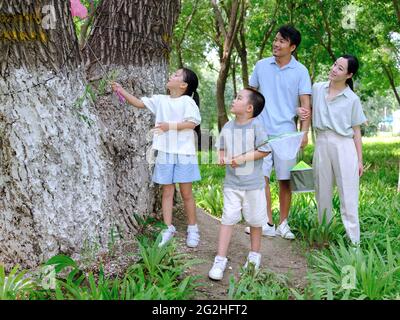 Une famille heureuse de quatre insectes attrapant en plein air photo de haute qualité Banque D'Images