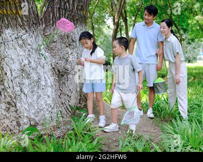 Une famille heureuse de quatre insectes attrapant en plein air photo de haute qualité Banque D'Images