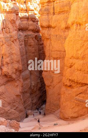 Randonnée sur Navajo Loop Trail dans le parc national de Bryce Canyon, Utah, États-Unis Banque D'Images