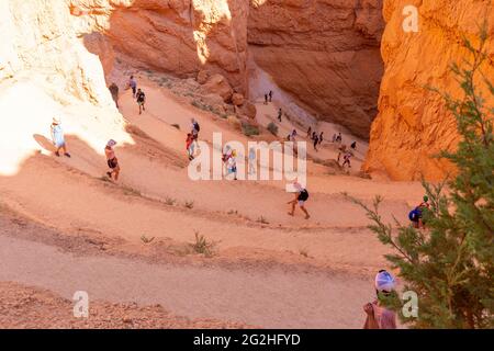 Randonnée sur Navajo Loop Trail dans le parc national de Bryce Canyon, Utah, États-Unis Banque D'Images