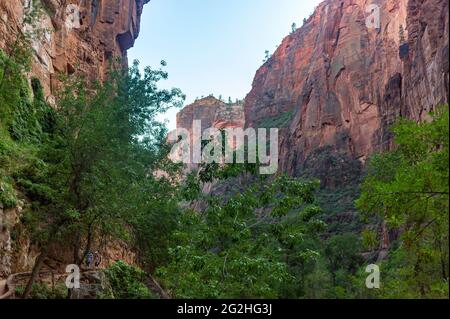 Promenade en bord de rivière dans le parc national de Zion, Utah, États-Unis Banque D'Images