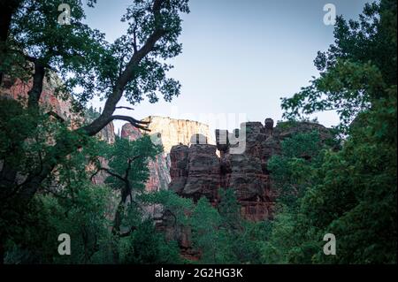 Promenade en bord de rivière dans le parc national de Zion, Utah, États-Unis Banque D'Images