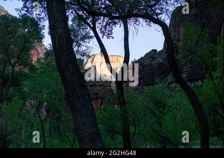 Promenade en bord de rivière dans le parc national de Zion, Utah, États-Unis Banque D'Images