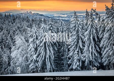 Château d'Augustusburg en hiver Banque D'Images